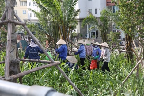 Những phụ nữ mưu sinh dưới cái nắng kỷ lục