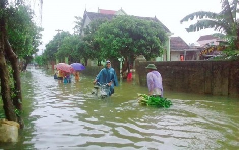 Quốc lộ ngập sâu gần 1m, hàng ngàn ha lúa có nguy cơ mất trắng