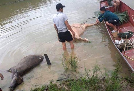 Lũ quét cuốn trôi 3 căn nhà, 4 người trong gia đình chết và mất tích