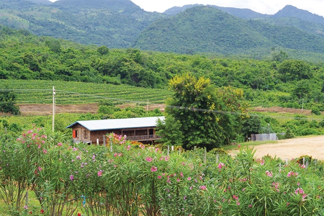 Len doi xuong ho o Shan State