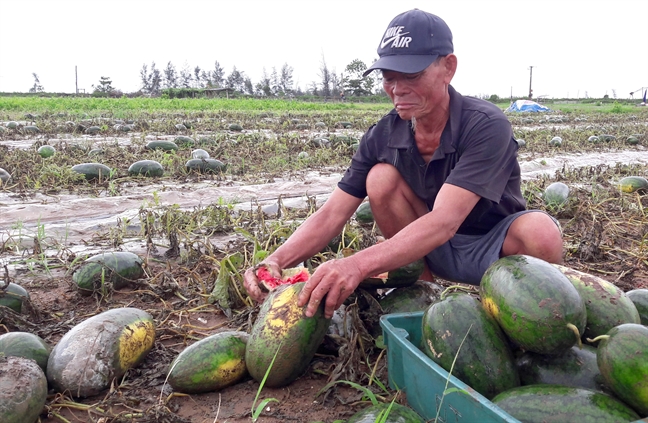 Mua lu ‘cuon troi’ 630 ty, Nghe An tiep tuc ra cong dien khan