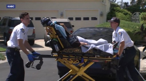 Hàng ngàn con ong tấn công một phụ nữ nguy kịch và bay theo đến tận bệnh viện