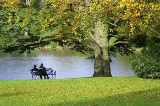 Thiên duyên thiền định