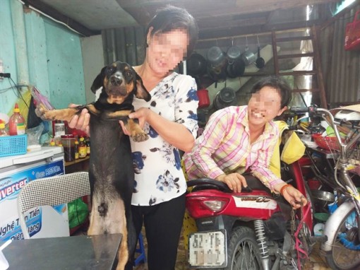'Cẩu tặc' lộng hành, khổ chủ phải mất tiền triệu chuộc chó