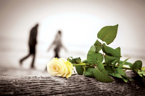 Người cũ về qua đây