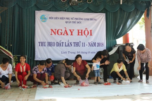 Bán cà pháo nuôi heo đất vì học trò nghèo