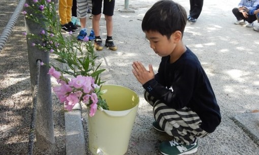 Trẻ em Nhật Bản được học về trách nhiệm kể mãi ‘nỗi đau bom nguyên tử’ ra sao?