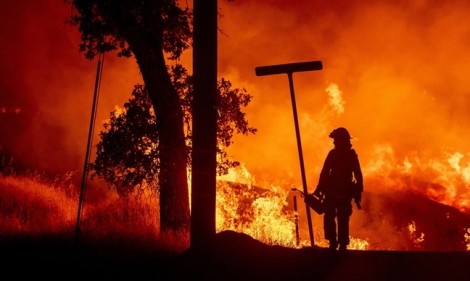 California ban bố tình trạng thảm họa vì cháy rừng