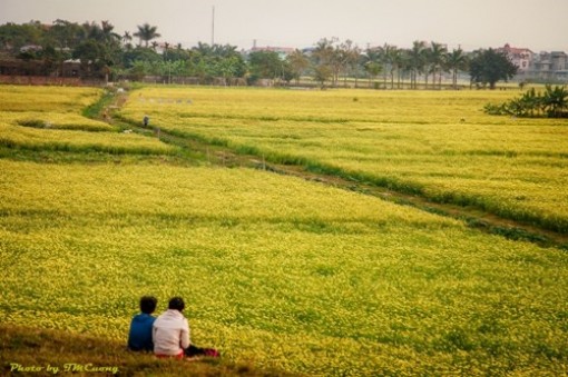 Em hư, chị đi lấy chồng mà không yên