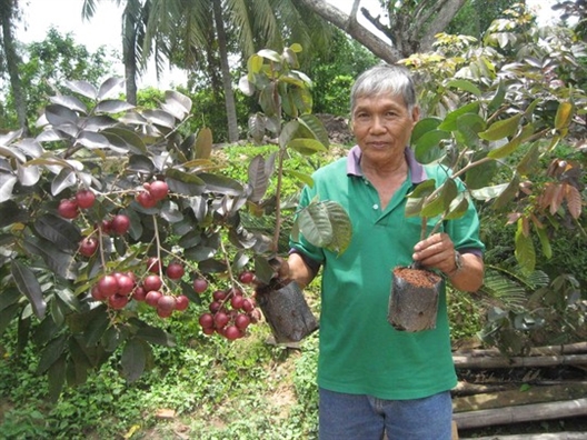 Nha vuon tu choi thuong lai ngoai, danh nhan tim phuc vu khach Viet