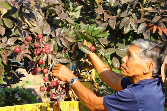 Nha vuon tu choi thuong lai ngoai, danh nhan tim phuc vu khach Viet