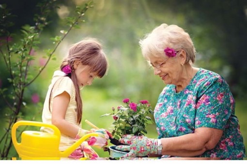 Đi bước nữa ở tuổi 50