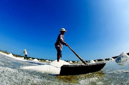 Toi loi hon nhien tren ruong muoi Sa Huynh