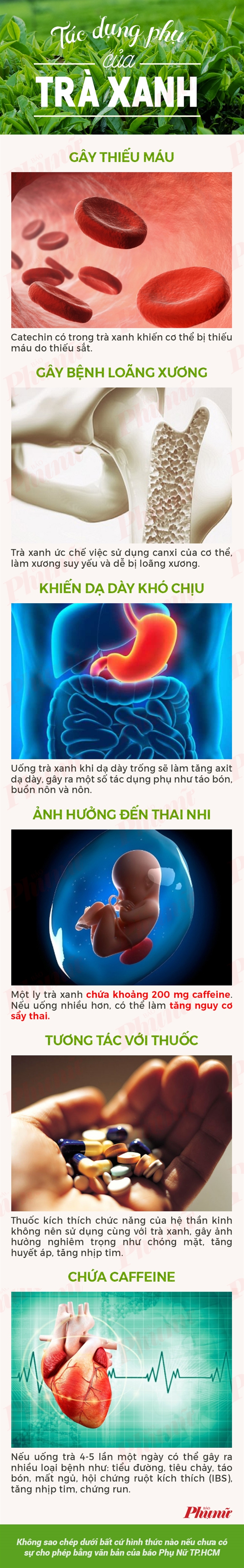 Uong nhieu tra xanh, hai nhieu hon loi