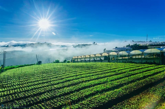 Trai nghiem Da Lat 2 ngay thu vi cua co sinh vien Ha Noi