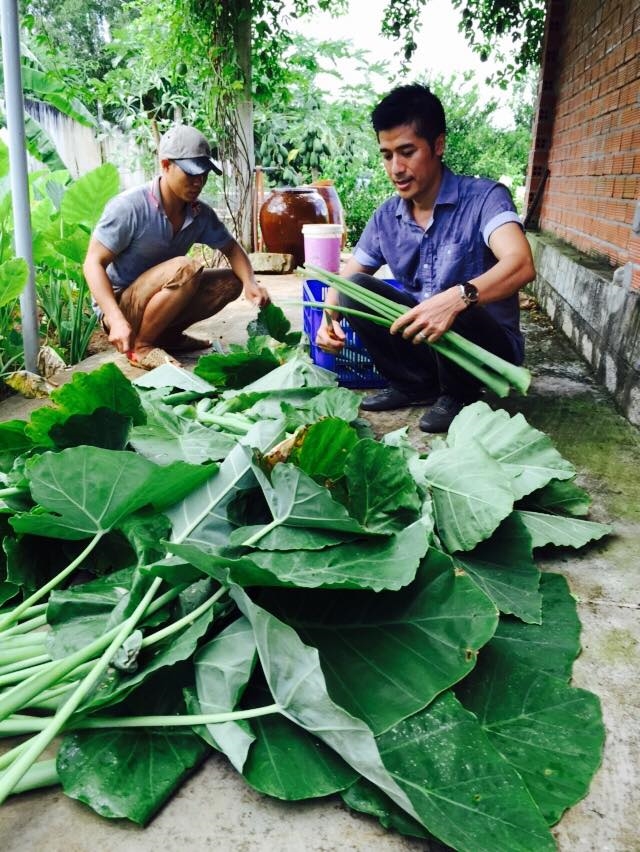 Quang Thao, Thanh Tuan me trong cay, tam heo