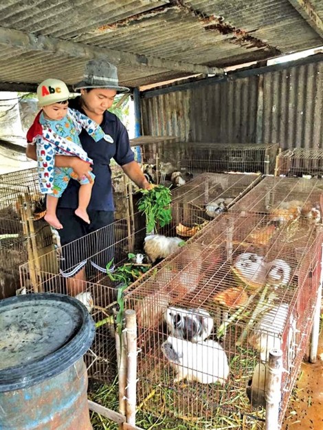 Quang Thảo, Thanh Tuấn mê trồng cây, tắm heo