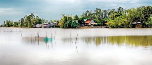 Vọng khúc tương tư