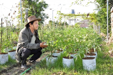 Bài 2: Ông Khải làm gạo hữu cơ trên khu rừng cháy