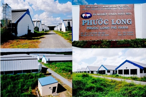 Xí nghiệp chăn nuôi heo Phước Long