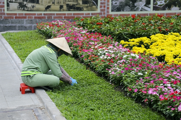 Cong vien truoc Nha tho Duc Ba Sai Gon thanh hoa vien ruc ro