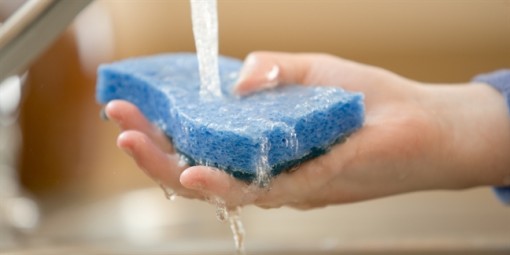 Bao lâu nên thay miếng rửa chén một lần?