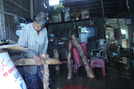 Cần Thơ: Vỡ bờ bao, nước tràn nhà dân trong đêm