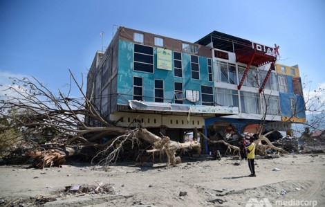 Thành phố Indonesia hồi sinh sau thảm họa động đất và sóng thần