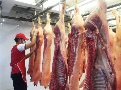 Giá heo hơi tăng, Vissan xin tăng giá thịt thêm 22.000 đồng/kg
