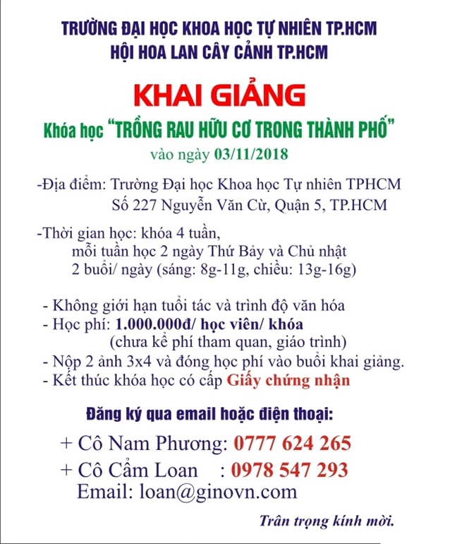 Khai giang khoa hoc 'Trong rau huu co trong thanh pho'