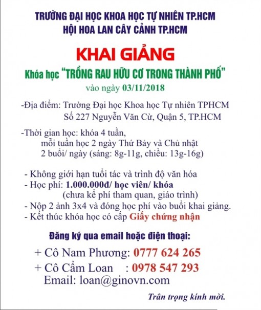 Khai giảng khóa học 'Trồng rau hữu cơ trong thành phố'