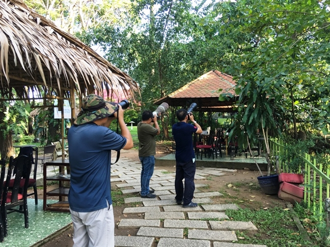 Xon xao chim thien duong xuat hien o Sai Gon