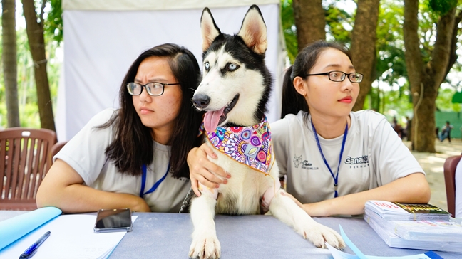 Những chú chó đắt tiền đi thi trong lễ hội ở Sài Gòn - Báo Phụ Nữ