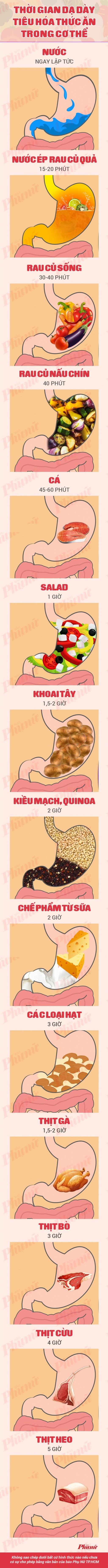 Thời gian tiêu hóa thức ăn trong dạ dày mất bao lâu?
