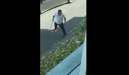 Không yêu được thì đừng làm khổ con gái nhà người ta nữa!