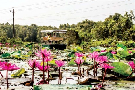 Làng nổi Tân Lập: Nơi trần gian thanh bình và êm ả