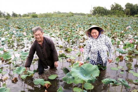 Nhờ nguồn vốn của Hội, đầm hoang thành điểm du lịch hấp dẫn