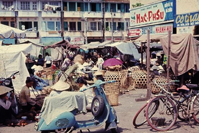 Cu la Mac Phsu thong tri dau cao