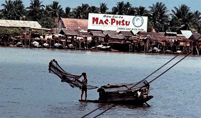 Cu la Mac Phsu thong tri dau cao