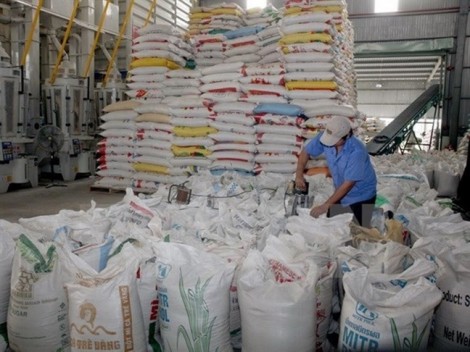 Tập đoàn của Úc tham gia thị trường lúa gạo Việt