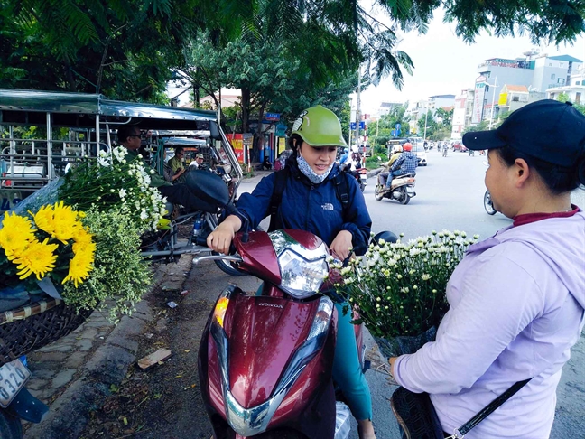 Vao mua cuc hoa mi, nguoi trong hoa thu tien trieu moi ngay