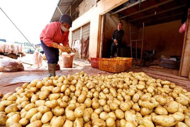 'Dau hang' voi viec nong san Trung Quoc doi lot hang Viet