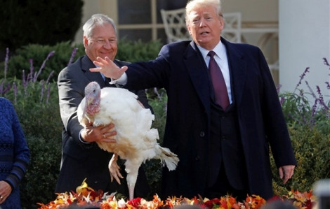 Con gái và cháu Tổng thống Trump vui đùa với chú gà tây được xá tội