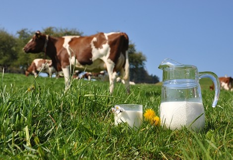 Vì sao sữa tươi Úc là lựa chọn hàng đầu của mẹ Việt?