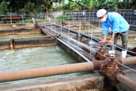 TP.HCM: Sở xây dựng quản lý cấp thoát nước, chiếu sáng, cây xanh