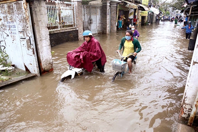 Canh giac voi cac benh di ung mua mua