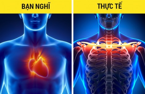 Những dấu hiệu đau bình thường nhưng cứ tưởng nguy hiểm