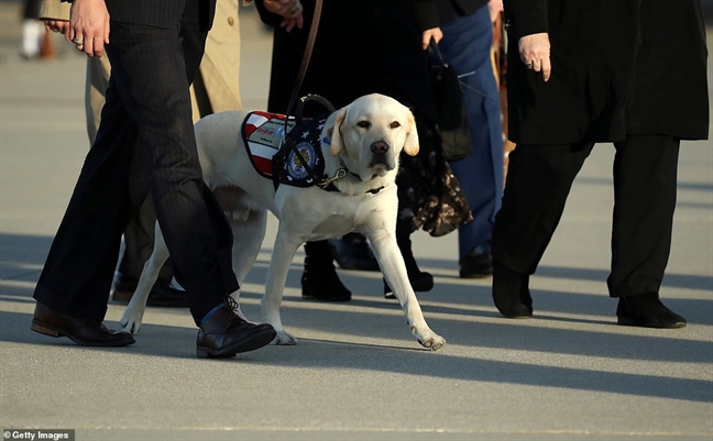 Co Tong thong George H.W. Bush ve duoi mai vom Doi Capitol