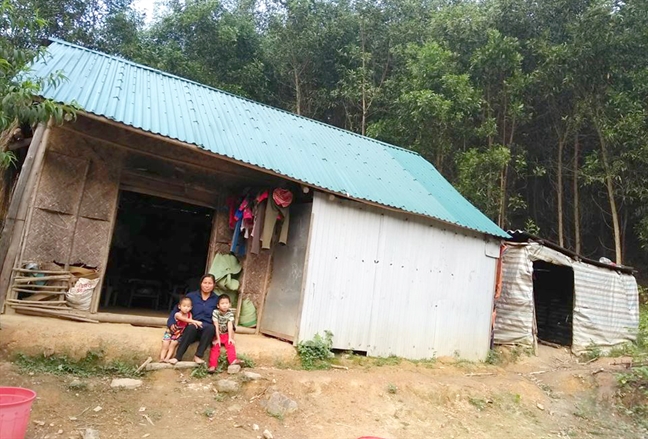 Nu tieu phu gong ganh nuoi chong va hai con bao benh trong rung