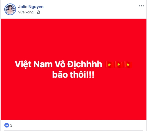 Nghe si Viet tung bung mung Viet Nam vo dich AFF Cup sau 10 nam cho doi